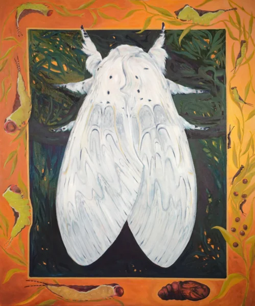 Puss Moth Lifecycle